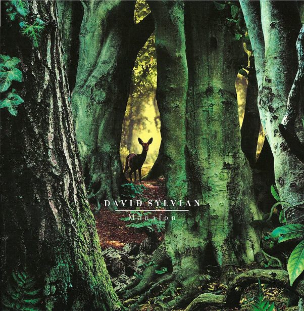 Small Metal Gods - David Sylvian