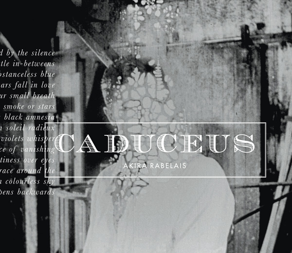 Blemish (remixed by Akira Rabelais) - End Times - David Sylvian