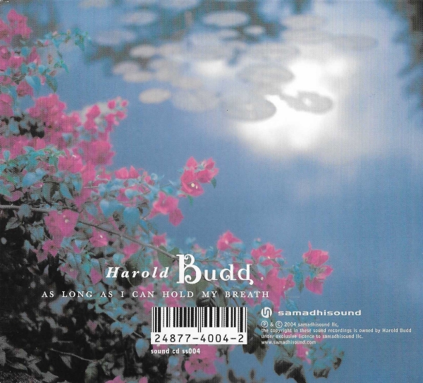 Blemish (remixed by Akira Rabelais) - End Times - David Sylvian